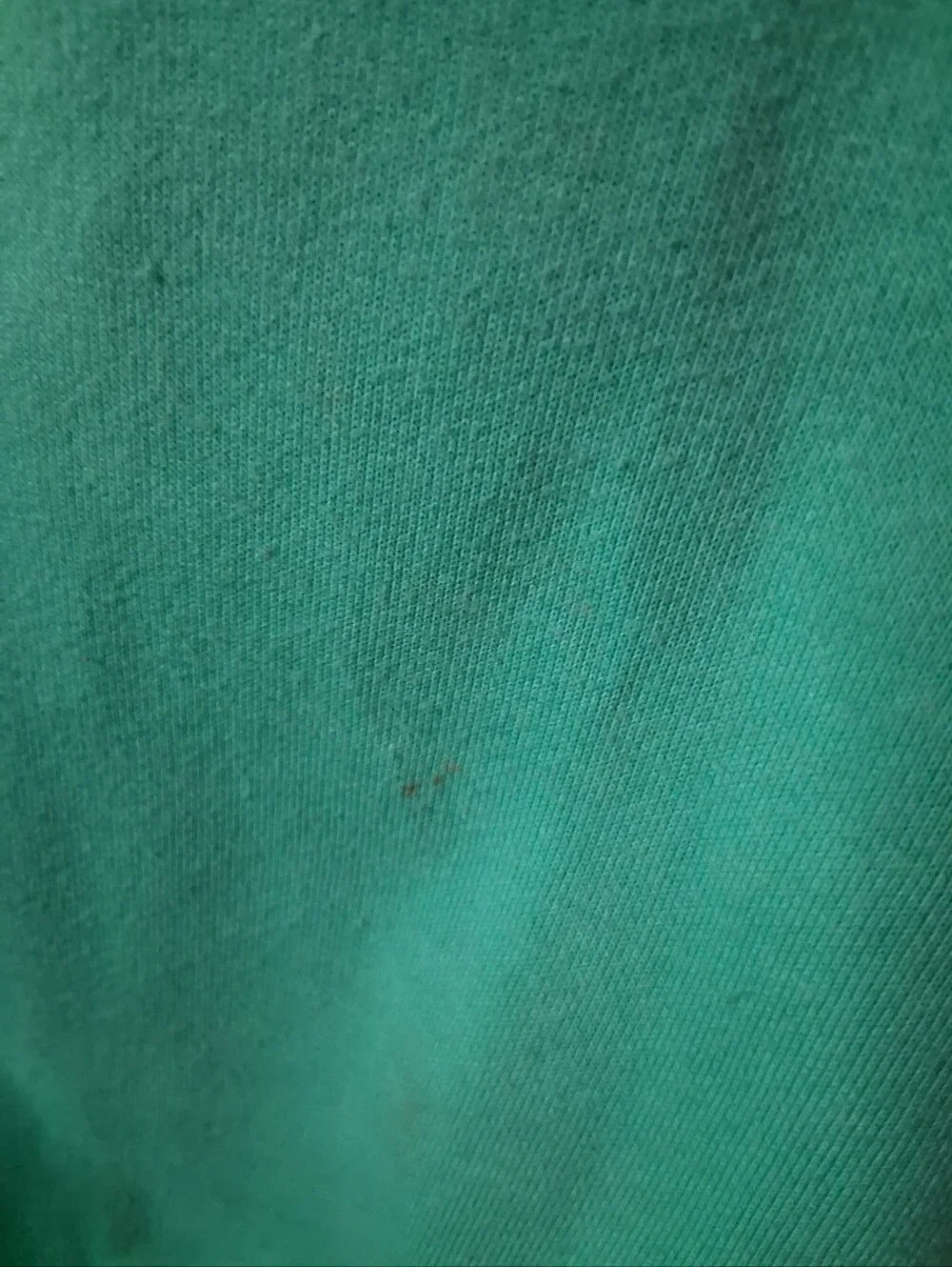 2/$5 Wild Fable Green Embroidered Paradise Beach Club Crewneck Sweatshirt Medium - Picture 4 of 4